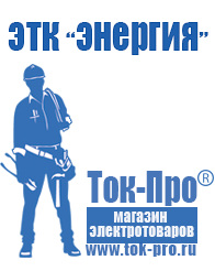 Магазин стабилизаторов напряжения Ток-Про Автомобильный преобразователь с 12 на 220 вольт в Междуреченске